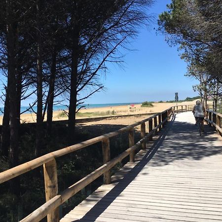 Appartamenti Livenza Bibione Bagian luar foto